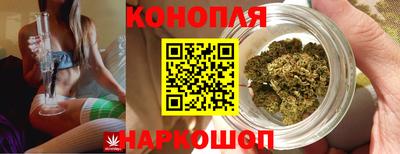 каннабис Сланцы