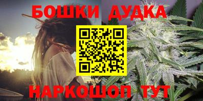 дурь Славгород