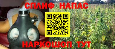 дурь Славгород