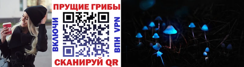 купить наркотик Новотроицк Галлюциногенные грибы ЛСД