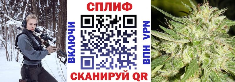 Бошки марихуана сатива  мориарти клад  Новотроицк 